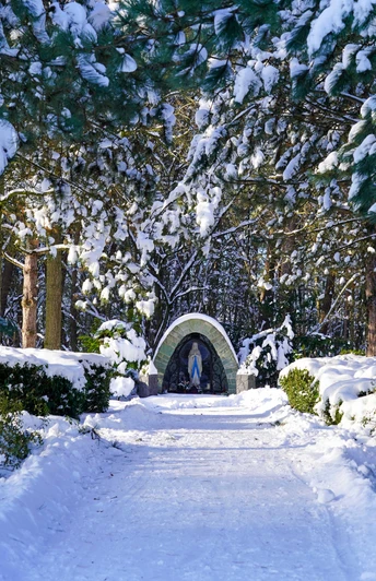 Winterliche Mariengrotte im Ortsteil Liemke in Schloß Holte-Stukenbrock Winterliche Mariengrotte im Ortsteil Liemke in Schloß Holte-Stukenbrock