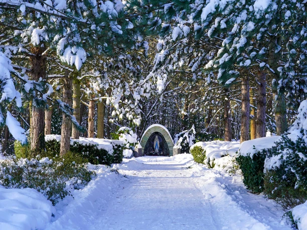 Winterliche Mariengrotte im Ortsteil Liemke in Schloß Holte-Stukenbrock Winterliche Mariengrotte im Ortsteil Liemke in Schloß Holte-Stukenbrock