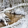 Winterliches Furlbachtal in Schloß Holte-Stukenbrock