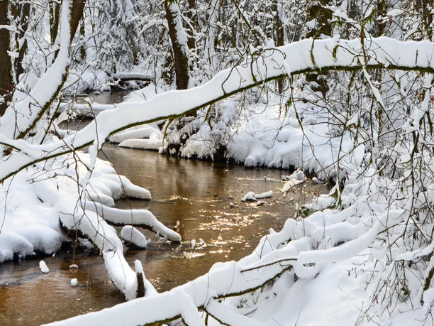 Winterliches Furlbachtal in Schloß Holte-Stukenbrock