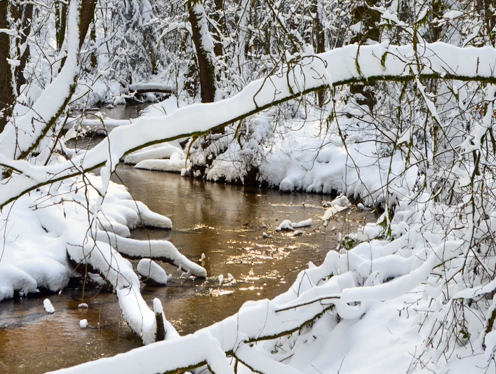 Winterliches Furlbachtal in Schloß Holte-Stukenbrock