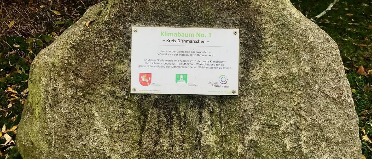 Klimabaum Infostein