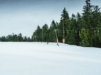 Skilift Ruhestein Tages Skipass Lift Skilift Ruhestein Tages Skipass Lift