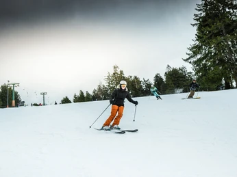 Skilift Ruhestein Tages Skipass Skifahrer Skilift Ruhestein Tages Skipass Skifahrer