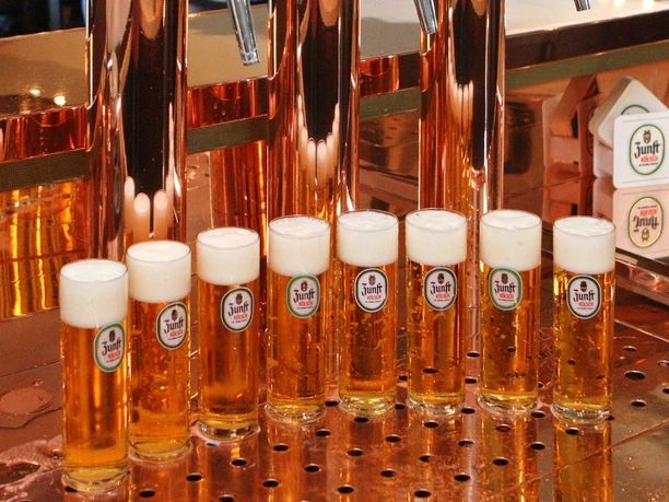 Produkte aus der Region Acht Gläser Kölschbier stehen aufgereiht vor glänzenden Kupfertheken in einer Brauerei.