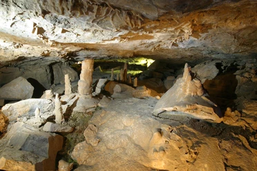Märchenwald in der Schillat-Höhle Märchenwald in der Schillat-Höhle