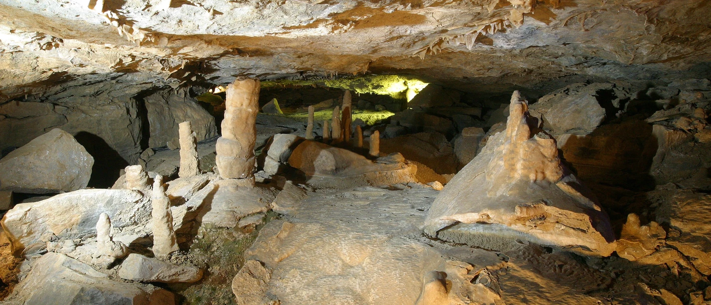 Märchenwald in der Schillat-Höhle Märchenwald in der Schillat-Höhle