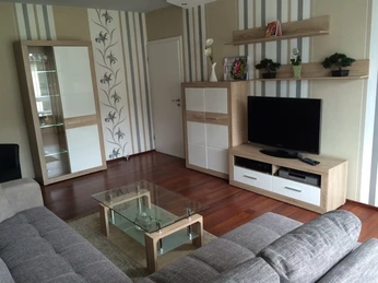 Gaestehaus-Witting_3.jpg Modernes Wohnzimmer mit grauen Sofas, Glastisch und Flachbild-TV auf Holzmöbel, dezente Deko.