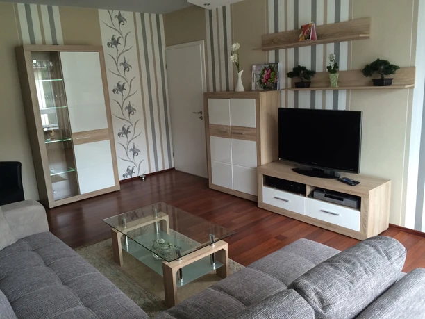 Gaestehaus-Witting_3.jpg Modernes Wohnzimmer mit grauen Sofas, Glastisch und Flachbild-TV auf Holzmöbel, dezente Deko.