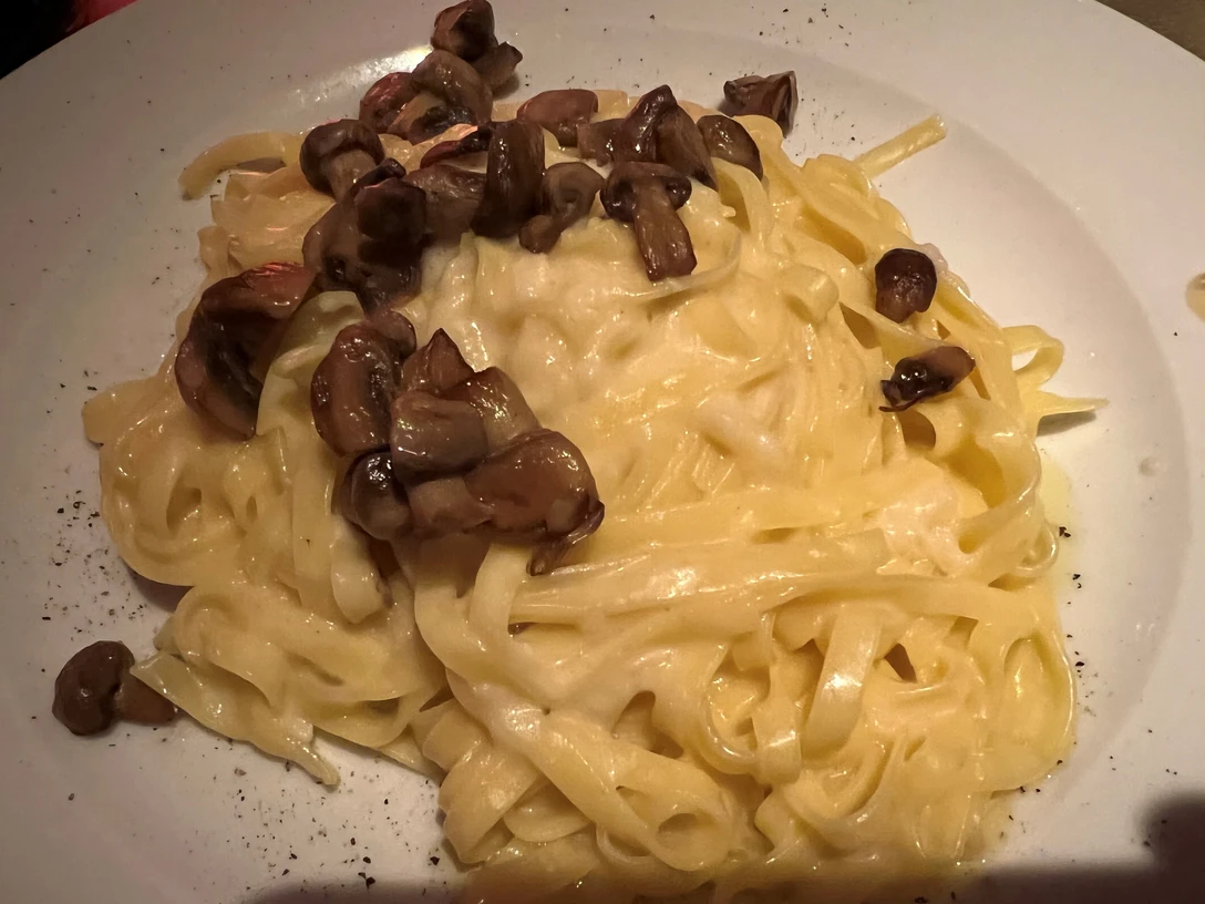 Nudelgericht Bandnudeln mit cremiger heller Sauce und Champignon-Stückchen appetitlich auf einem weißen Teller angerichtet.
