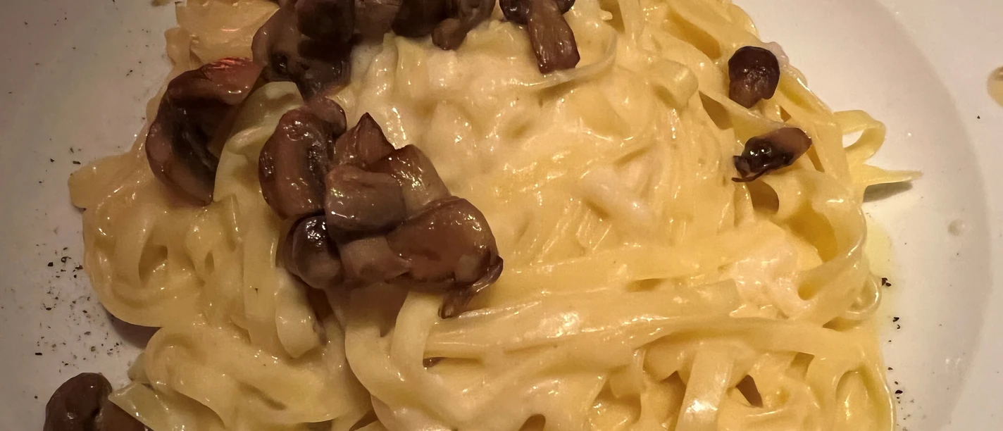 Nudelgericht Bandnudeln mit cremiger heller Sauce und Champignon-Stückchen appetitlich auf einem weißen Teller angerichtet.