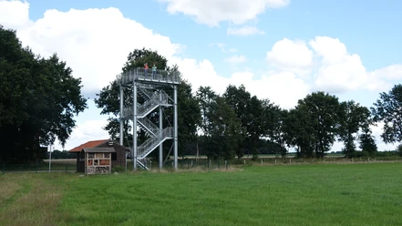 Naturerlebnis Vreeser Wiesen - Bockholter Dose - Aussichtsturm ©Emsland Tourismus GmbH (5).JPG Aussichtsturm aus Metall an grüner Wiese mit Bäumen und Holzhaus unter blauem Himmel mit Wolken