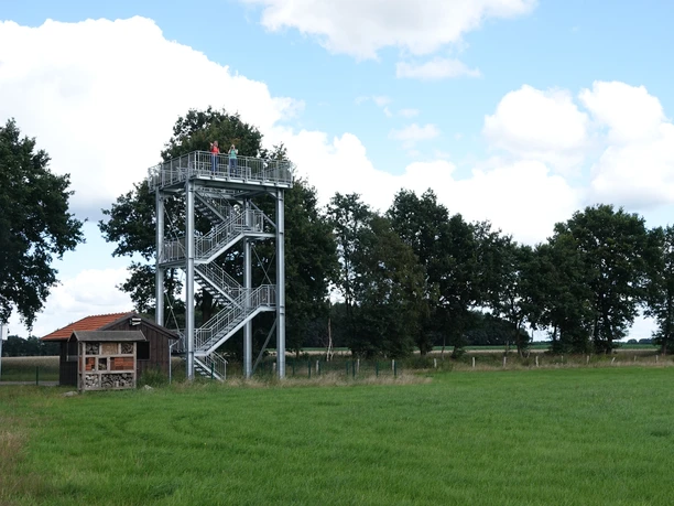 Naturerlebnis Vreeser Wiesen - Bockholter Dose - Aussichtsturm ©Emsland Tourismus GmbH (5).JPG Aussichtsturm aus Metall an grüner Wiese mit Bäumen und Holzhaus unter blauem Himmel mit Wolken