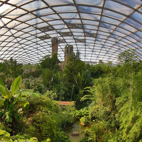 Ihre Tagung & Konferenz in Leipzig: Tropenerlebniswelt Gondwanaland im Zoo Leipzig entdecken