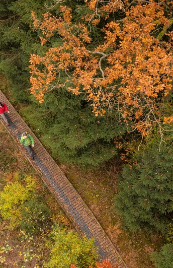 Wanderer auf Steg im Herbst auf dem Moore-Pfad Schneifel