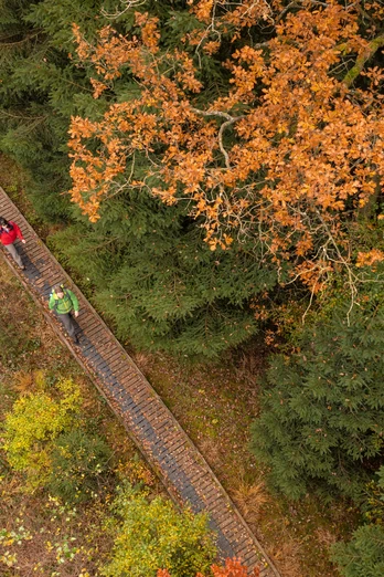 Wanderer auf Steg im Herbst auf dem Moore-Pfad Schneifel