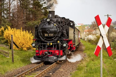 Train of the Zittau narrow-gauge railroad in spring with flowering bushes and distant houses.