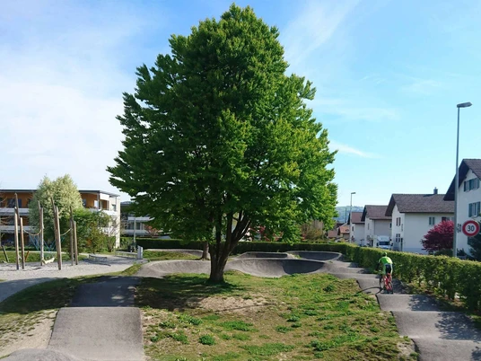 pumptrack-lerchenfeld-track-spielplatz-baum.jpg