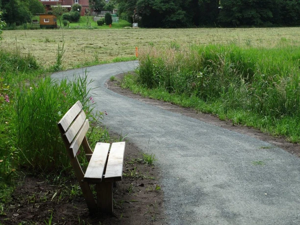 De-luhpadd-4-wanderweg-foto_ccbysa_foto©gemeinde-bispingen.jpg Eine Parkbank am Rand eines gewundenen Kieswegs, umgeben von grüner Wiese und Bäumen.