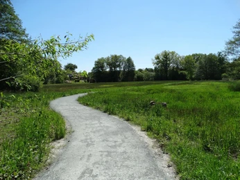 De-luhpadd-2-wanderweg-foto_ccbysa_foto©gemeinde-bispingen.jpg Wanderweg inmitten saftig grüner Wiesen, umgeben von Bäumen unter klarem, blauem Himmel.