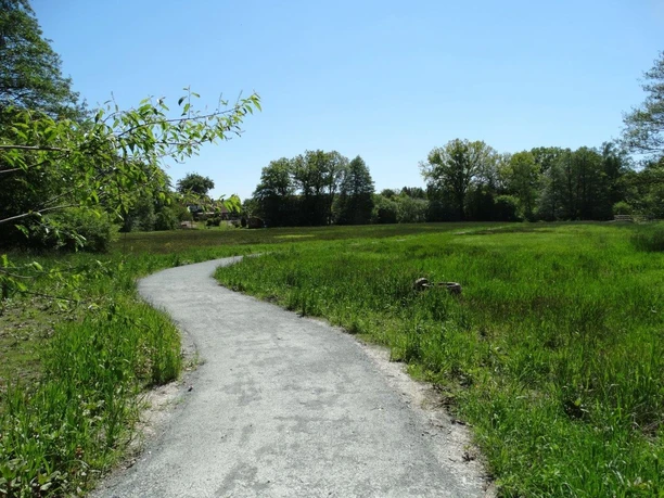 Wanderweg inmitten saftig grüner Wiesen, umgeben von Bäumen unter klarem, blauem Himmel.