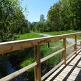 De-luhpadd-1-wanderweg-foto_ccbysa_foto©gemeinde-bispingen.jpg Holzbrücke mit Geländer überquert sanften Bach, umgeben von grünem Wald im Sonnenlicht.