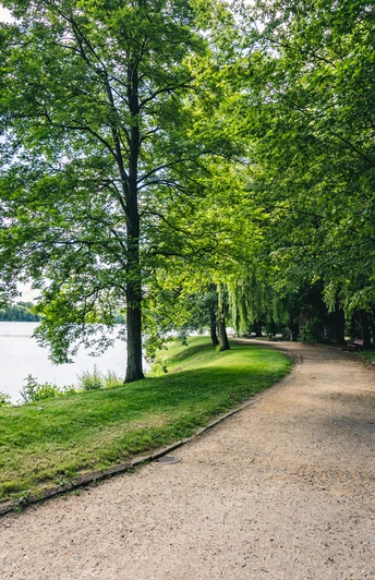 Park am Schwanenteich Zwickau