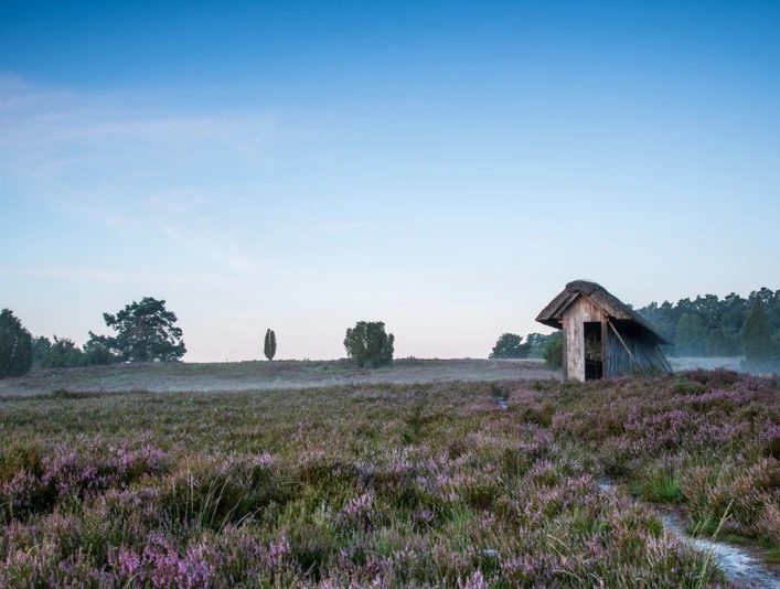 Bienenzaun Bienenzaun auf dem Wanderweg Heideschleife RadenbachtalBee fence on the Heideschleife Radenbachtal hiking trailBi-hegn på vandrestien Heideschleife RadenbachtalBijenhek op de wandelroute Heideschleife Radenbachtal