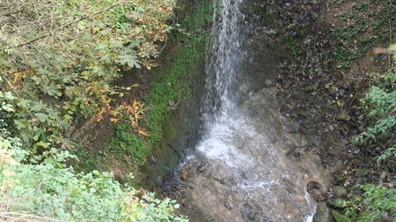 Wasserfall Langenfeld Wasserfall Langenfeld