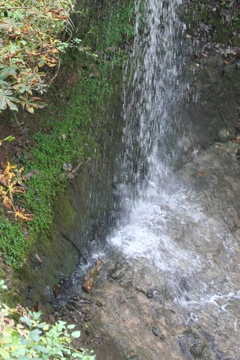 Wasserfall Langenfeld Wasserfall Langenfeld