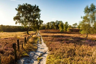 Fischbeker Heide Fischbeker Heide Heideschleife Rundwanderweg