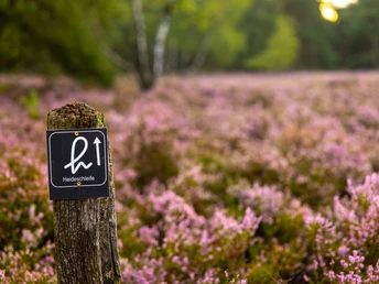 Wegweiser durch die Fischbeker Heide Wegweiser durch die Fischbeker Heide RundwanderwegSignpost through the Fischbeker Heide circular hiking trailSkilt gennem den cirkulære vandresti Fischbeker HeideWegwijzer door de Fischbeker Heide rondwandelroute