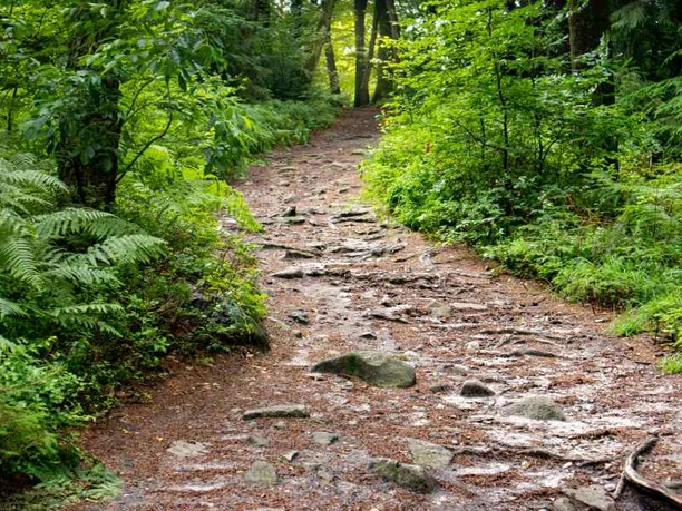 Heideschleife Schwarze Berge Heideschleife Schwarze Berge Rosengarten circular hiking trail Nordheide