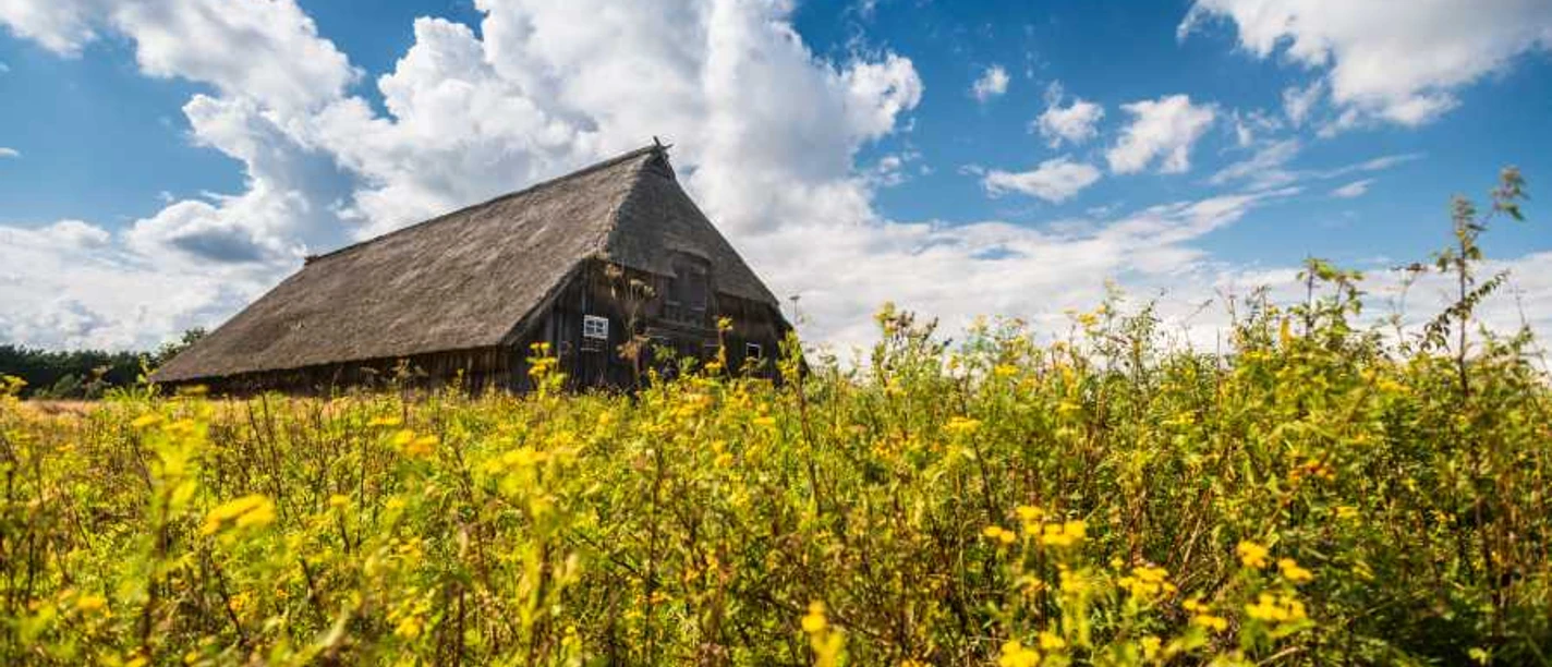 Schafstall Weseler Heide Sheepfold Weseler Heide Heideschleife circular hiking trail