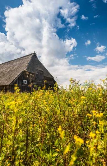 Schafstall Weseler Heide Schafstall Weseler Heide Heideschleife RundwanderwegSheepfold Weseler Heide Heideschleife circular hiking trailFårefold Weseler Heide Heideschleife cirkulær vandrestiSchaapskooi Weseler Heide Heideschleife rondwandeling