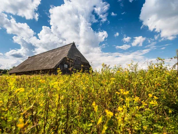 Schafstall Weseler Heide Schafstall Weseler Heide Heideschleife Rundwanderweg
