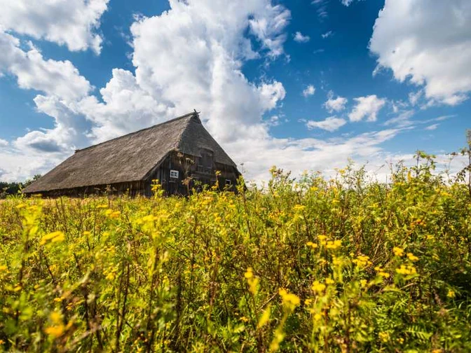 Schafstall Weseler Heide Schafstall Weseler Heide Heideschleife RundwanderwegSheepfold Weseler Heide Heideschleife circular hiking trailFårefold Weseler Heide Heideschleife cirkulær vandrestiSchaapskooi Weseler Heide Heideschleife rondwandeling