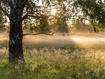 Weseler Heide Sonnenuntergang Weseler Heide Sonnenuntergang Heideschleife RundwanderwegWeseler Heide sunset Heideschleife circular hiking trailWeseler Heide solnedgang Heideschleife cirkulær vandrestiWeseler Heide zonsondergang Heideschleife rondwandelroute