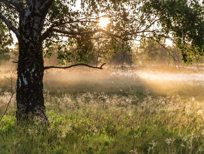 Weseler Heide Sonnenuntergang Weseler Heide Sonnenuntergang Heideschleife RundwanderwegWeseler Heide sunset Heideschleife circular hiking trailWeseler Heide solnedgang Heideschleife cirkulær vandrestiWeseler Heide zonsondergang Heideschleife rondwandelroute