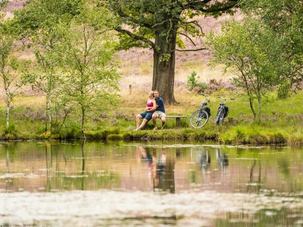 Pastorenteiche in der Weseler Heide Pastor's ponds in the Weseler Heide Undeloh Heideschleife circular hiking trail