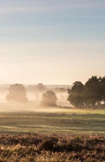 Obere Radenbachbrücke bei Sonnenaufgang Obere Radenbachbrücke bei Sonnenaufgang Heideschleife RundwanderwegUpper Radenbach bridge at sunrise Heideschleife circular hiking trailØvre Radenbach-bro ved solopgang Heideschleife cirkulær vandrestiBovenste Radenbachbrug bij zonsopgang Heideschleife rondwandelpad