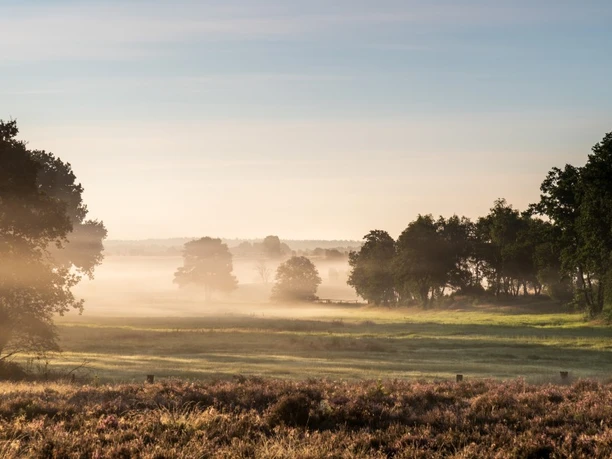Obere Radenbachbrücke bei Sonnenaufgang Obere Radenbachbrücke bei Sonnenaufgang Heideschleife Rundwanderweg