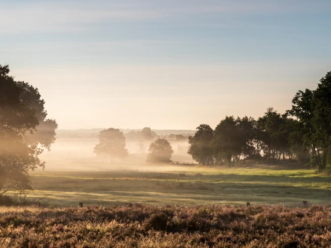 Obere Radenbachbrücke bei Sonnenaufgang Obere Radenbachbrücke bei Sonnenaufgang Heideschleife RundwanderwegUpper Radenbach bridge at sunrise Heideschleife circular hiking trailØvre Radenbach-bro ved solopgang Heideschleife cirkulær vandrestiBovenste Radenbachbrug bij zonsopgang Heideschleife rondwandelpad