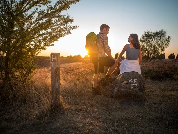 Wilseder Berg Sonnenuntergang Sunset on the Wilseder Berg at the Heideschleife