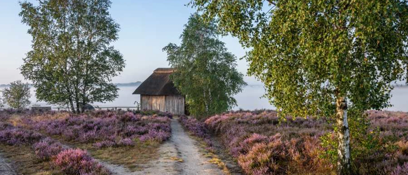 Alfred Toepfer Blick Heideschleife Tütsberg hike circular hiking trail Alfred Toepfer view