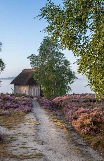 Alfred Toepfer Blick Heideschleife Tütsberg wandern Rundwanderweg Alfred Toepfer BlickHeideschleife Tütsberg hike circular hiking trail Alfred Toepfer viewHeideschleife Tütsberg vandresløjfe Alfred Toepfer viewHeideschleife Tütsberg rondwandeling Alfred Toepfer uitzicht
