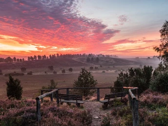 Wümmeberg Aussichtspunkt Blick vom Wümmeberg in die Heide an der Heideschleife Tütsberg RundwanderwegView from the Wümmeberg into the heath at the Tütsberg circular hiking trail heath loopUdsigt fra Wümmeberg ind i heden på Tütsberg-rundvandringsruten hedesløjfeUitzicht vanaf de Wümmeberg in de heide bij de Tütsberg rondwandeling heide