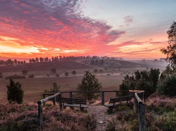 Wümmeberg Aussichtspunkt Blick vom Wümmeberg in die Heide an der Heideschleife Tütsberg RundwanderwegView from the Wümmeberg into the heath at the Tütsberg circular hiking trail heath loopUdsigt fra Wümmeberg ind i heden på Tütsberg-rundvandringsruten hedesløjfeUitzicht vanaf de Wümmeberg in de heide bij de Tütsberg rondwandeling heide