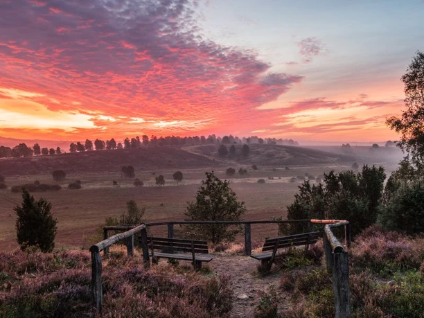 Wümmeberg Aussichtspunkt View from the Wümmeberg into the heath at the Tütsberg circular hiking trail heath loop