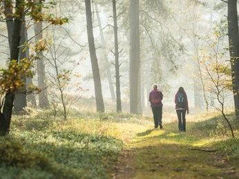 Das Tiefental im Herbst Hermannsburg Tiefental im Herbst Wanderung Natur Hermannsburg Tiefental in the fall Nature hikeHermannsburg Tiefental om efteråret NaturvandringHermannsburg Tiefental in herfst Natuurwandeling